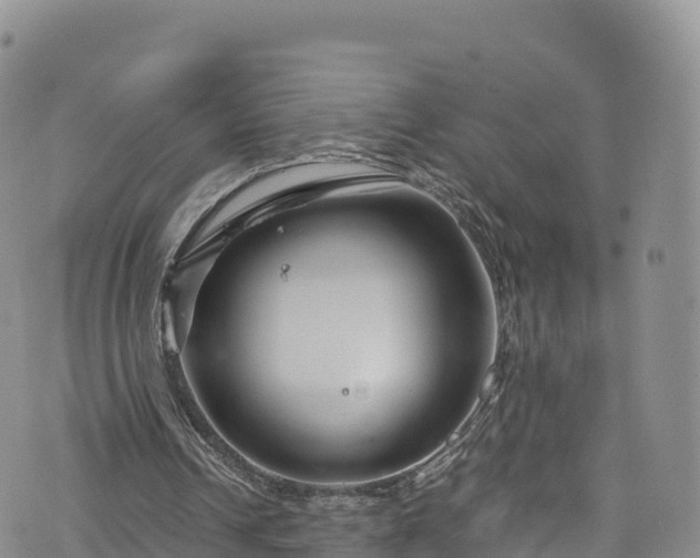 X0000076450242200610161318