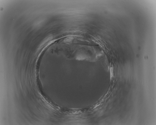 X0000076450243200610161318