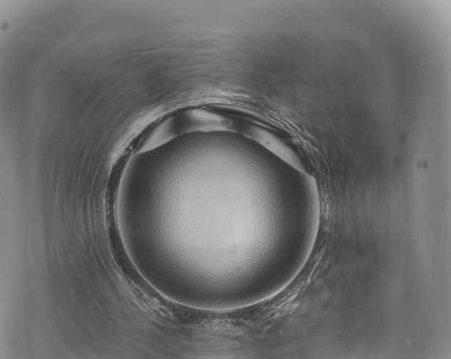 X0000076450244200610161318