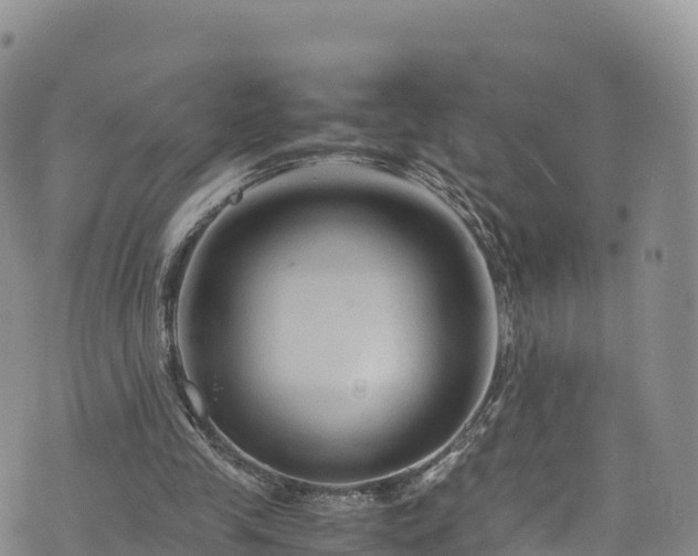 X0000076450245200610161318