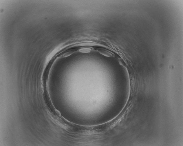 X0000076450246200610161318