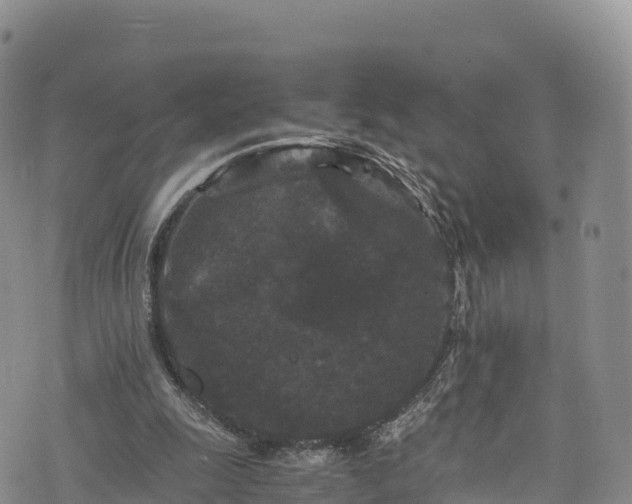 X0000076450247200610161318