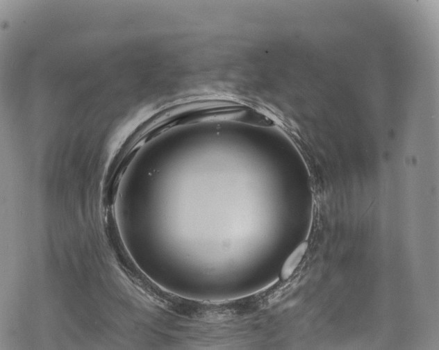 X0000076450248200610161319