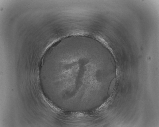 X0000076450249200610161319