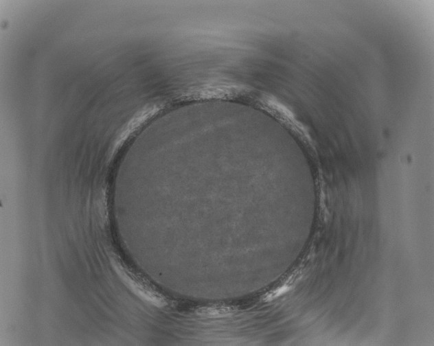 X0000076450250200610161319