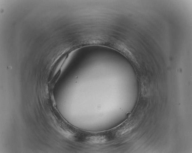 X0000076450251200610161319