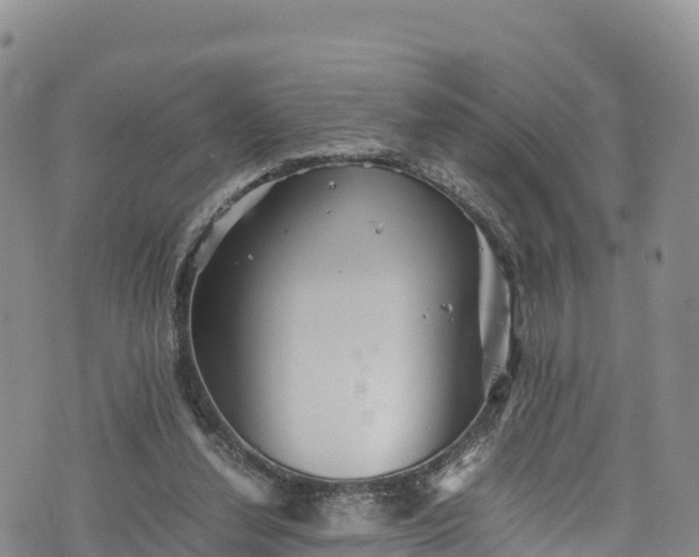 X0000076450252200610161319