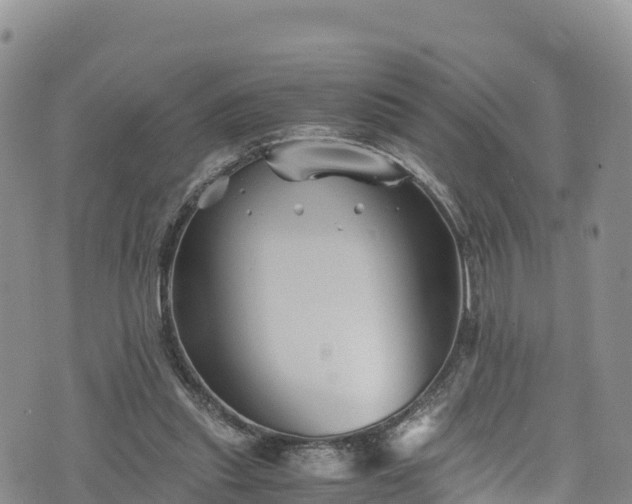 X0000076450253200610161319