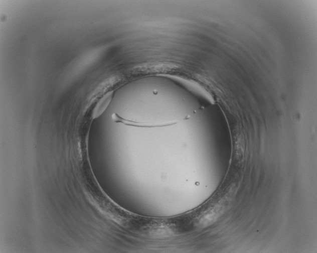 X0000076450254200610161319