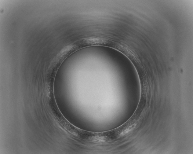 X0000076450255200610161319