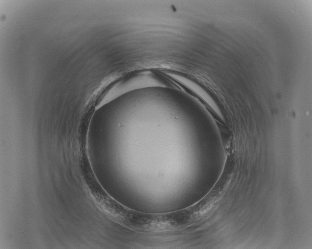 X0000076450256200610161319