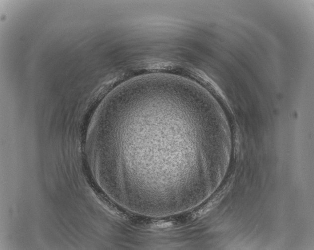 X0000076450257200610161319