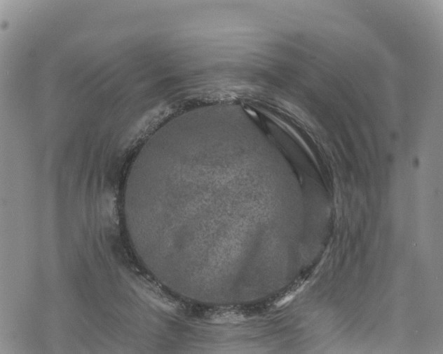 X0000076450258200610161319