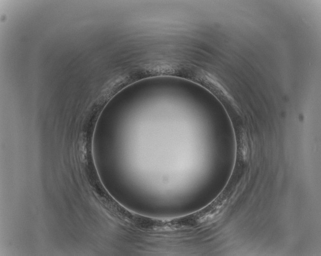 X0000076450259200610161319