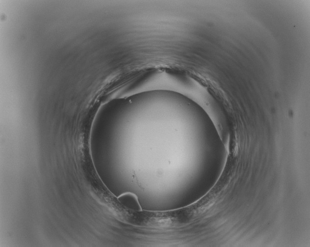 X0000076450260200610161319