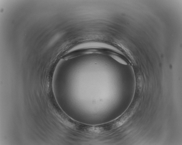 X0000076450261200610161319