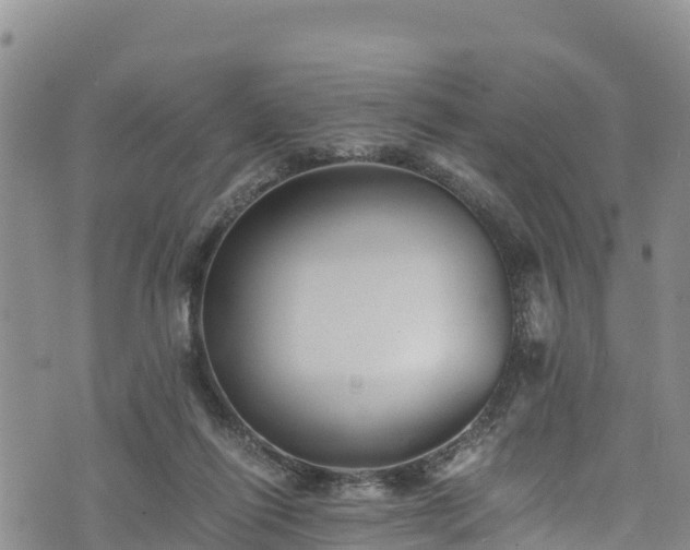 X0000076450262200610161319