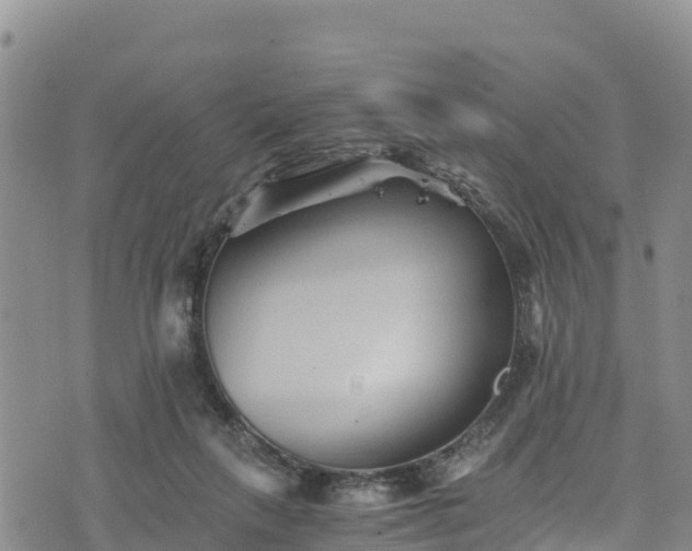 X0000076450263200610161319