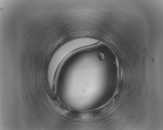 X0000076450264200610161319