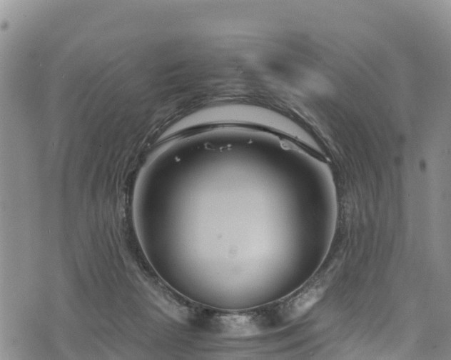 X0000076450265200610161319