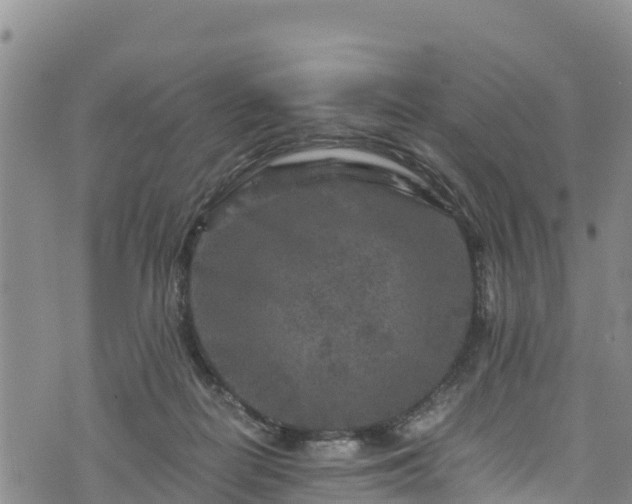 X0000076450266200610161319