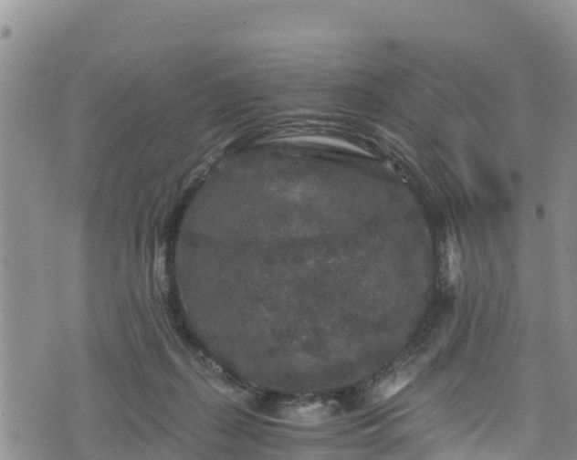 X0000076450267200610161319