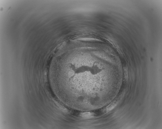 X0000076450269200610161319