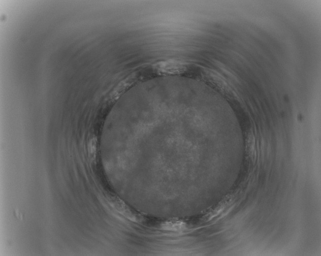 X0000076450271200610161319