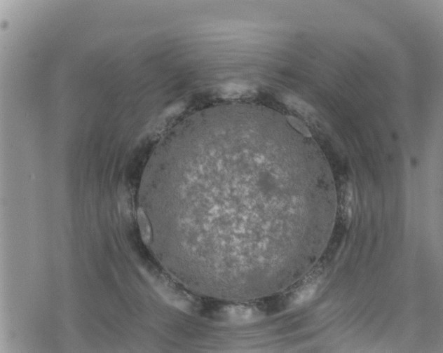 X0000076450272200610161319