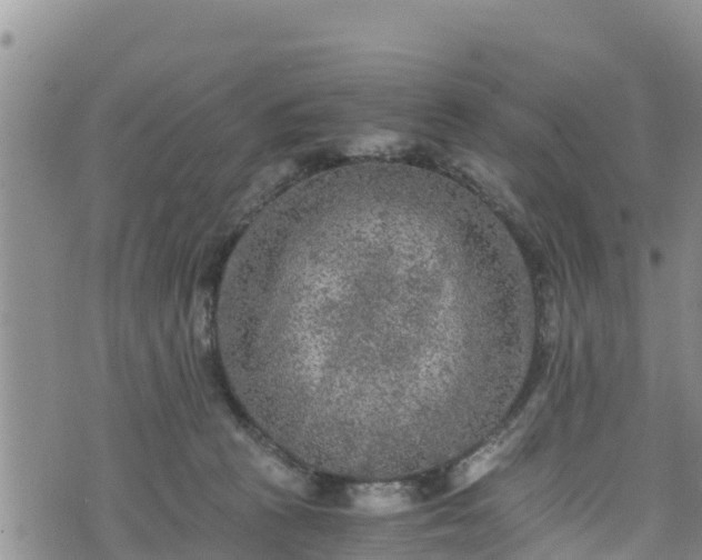 X0000076450273200610161319