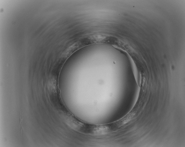 X0000076450274200610161319