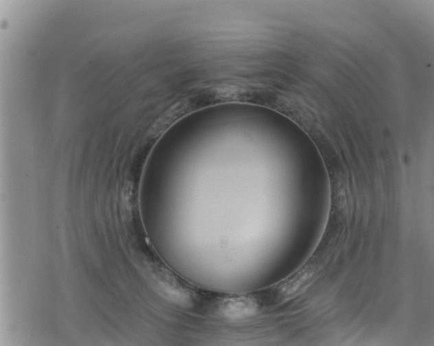 X0000076450275200610161319