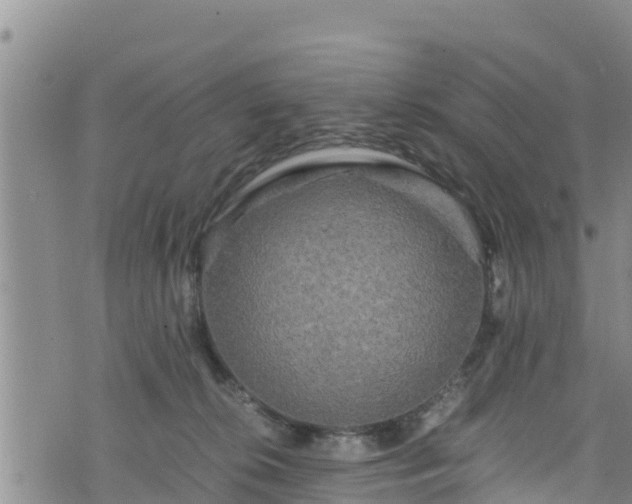 X0000076450276200610161319