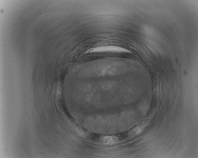 X0000076450277200610161319