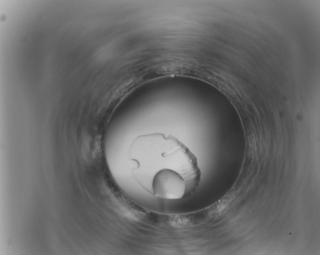 X0000076450278200610161319