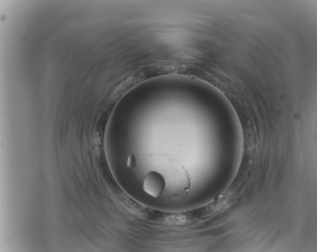 X0000076450279200610161319