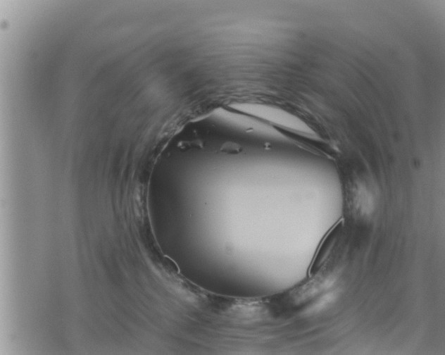 X0000076450280200610161319