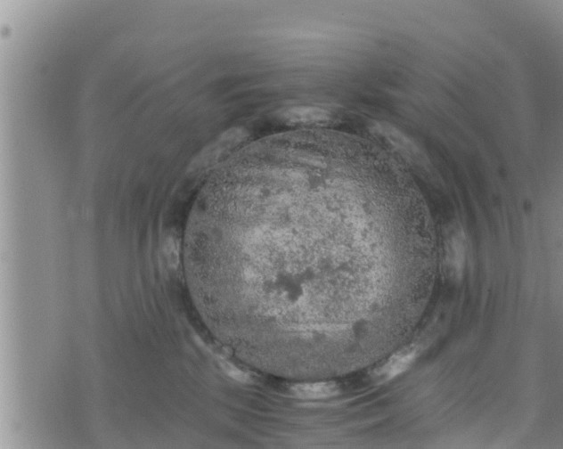 X0000076450281200610161319