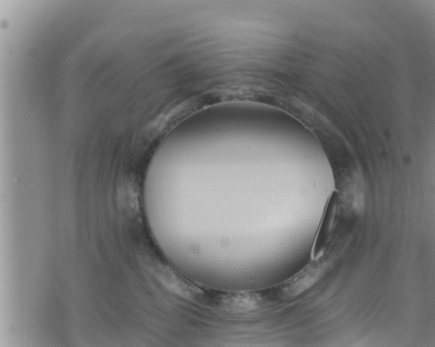 X0000076450282200610161319