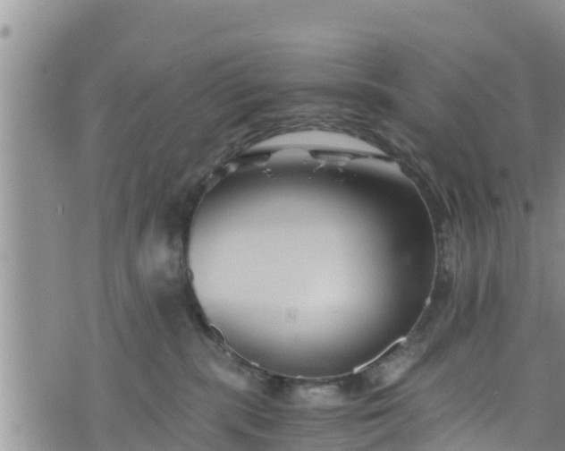 X0000076450283200610161319