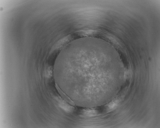 X0000076450284200610161319