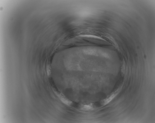 X0000076450285200610161319