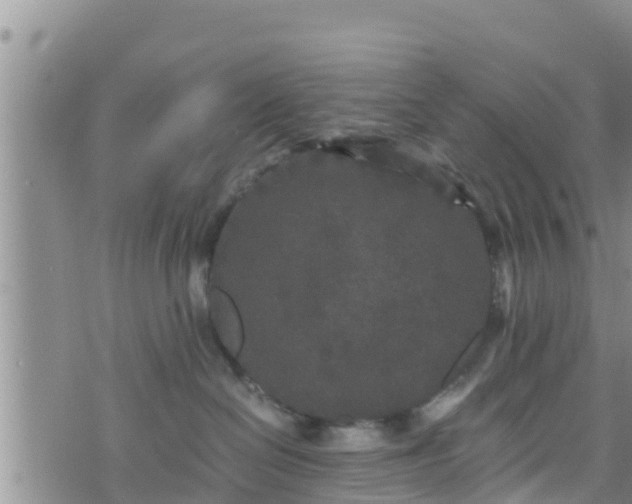 X0000076450286200610161319