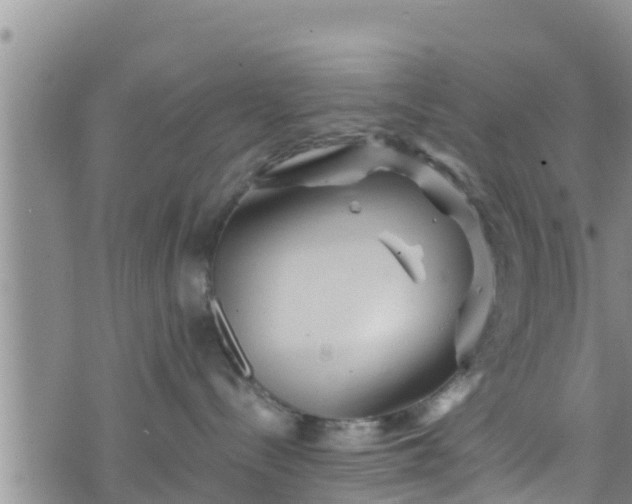 X0000076450288200610161319