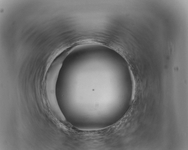 X0000076450289200610161318