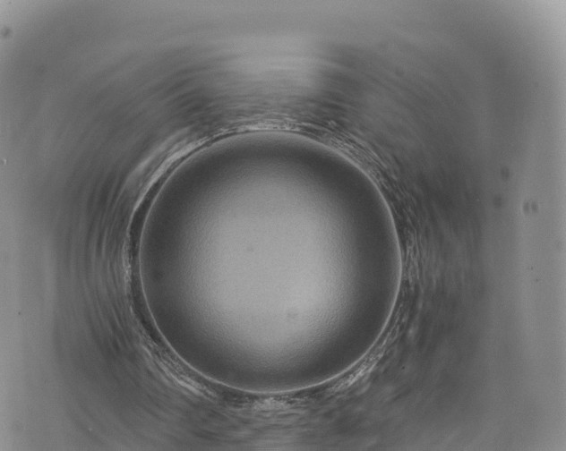 X0000076450290200610161318