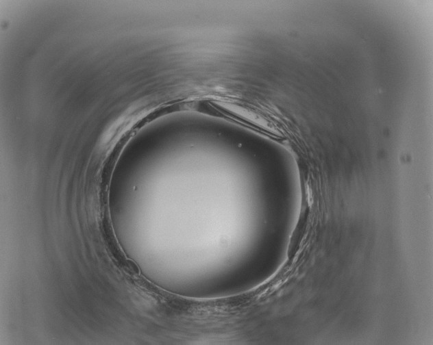 X0000076450291200610161318