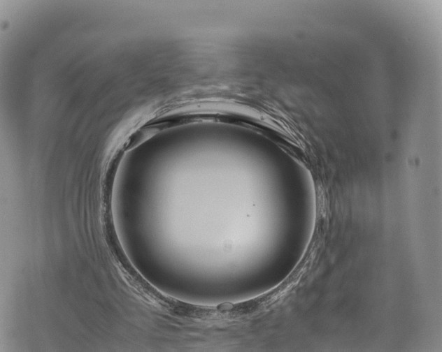 X0000076450293200610161318