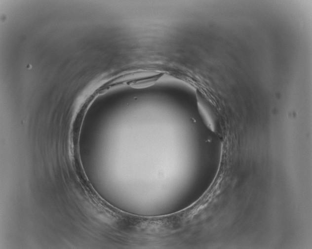 X0000076450294200610161318