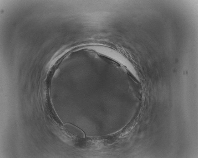 X0000076450295200610161318